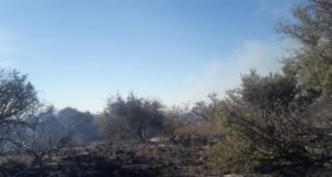 San Luis: extinguieron el incendio en Los Molles y permanece una guardia de cenizas