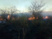 San Luis: controlaron un incendio en la zona de San José del Morro