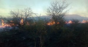 San Luis: controlaron un incendio en la zona de San José del Morro