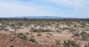 Nuevo proyecto en manejo sustentable de tierras secas para el noroeste de San Luis