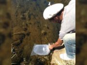 Estación de Piscicultura, un lugar de San Luis para conocer y aprender