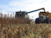 Una lectura sobre lo liquidado por el agro en abril