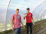 El RENATRE fiscalizó la registración y condiciones laborales de 2.300 trabajadores rurales en febrero