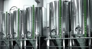 La exportación de aceites vegetales descendió el 13%