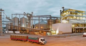 Otra aceitera con procedimiento de crisis, despide 117 trabajadores