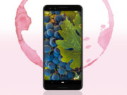 Desarrollan una app para proteger la calidad del vino