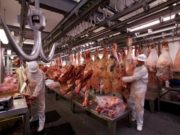 Marfrig recupera crecimiento y aumenta 40% su faena en la planta de Villa Mercedes