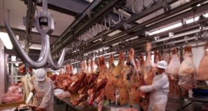 Marfrig recupera crecimiento y aumenta 40% su faena en la planta de Villa Mercedes