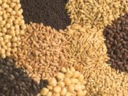 Federación Agraria ratifica su posición sobre la ley de semillas