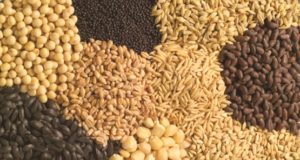 Federación Agraria ratifica su posición sobre la ley de semillas