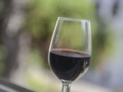 El 17 de abril se conmemora el Día Mundial del Malbec
