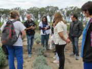 INTA: la huerta como promotora de salud