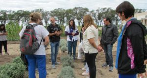 INTA: la huerta como promotora de salud