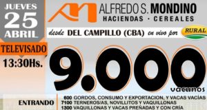 Mondino rematará 9 mil cabezas en Del Campillo