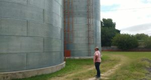 Agroindustria encontró granos flojos de papeles en Córdoba
