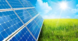 Soluciones innovadoras a cuatro problemas actuales del sector agropecuario