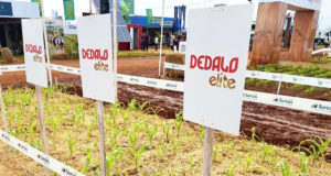 La nanotecnología en los agroquímicos ya cumplió 10 años en la Argentina y va por más