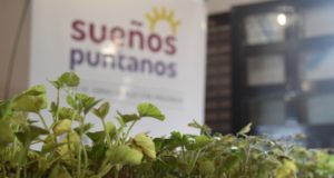 El gobierno de San Luis lanzará el plan “Una familia, una huerta”