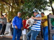 El gobierno de San Luis entregó cerdos de raza a 20 pequeños productores de Donovan para mejorar su producción