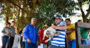 El gobierno de San Luis entregó cerdos de raza a 20 pequeños productores de Donovan para mejorar su producción