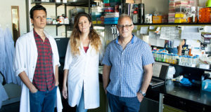 Científicos argentinos buscan «engañar» a los cultivos para que crezcan en latitudes ajenas