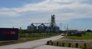 Avanza la cosecha en San Luis y el gobierno provincial ofrece servicios convenientes para el productor