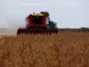 Alerta por altos niveles de pérdidas en la cosecha de la campaña actual