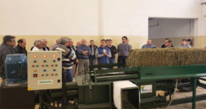 Crean una recompactadora que permitirá mejorar el proceso de exportación de alfalfa