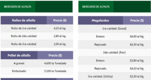 Mercados de la alfalfa al 1 de marzo: valores promedio consultados a proveedores del sector
