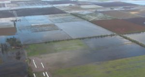 La cosecha de soja lleva un 50% de atraso en Chaco