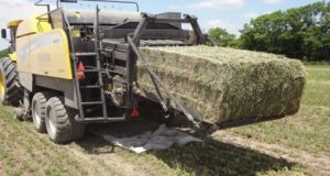 Los megafardos de alfalfa son la alternativa más rentable