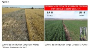 San Luis: para la próxima campaña de cosecha gruesa, ahora es el momento de pensar en controlar las malezas