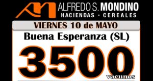 Mondino remata mañana en Buena Esperanza