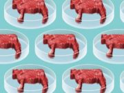 La carne «sintética» busca su espacio en el mercado