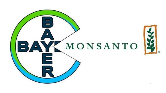 15 - 05 - Bayer-Monsanto