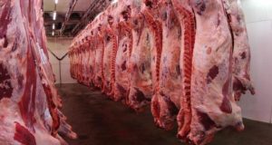 Se termina la media res, ¿sube el precio de la carne?