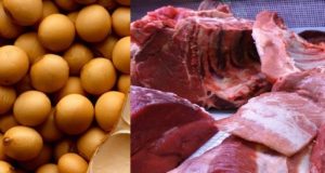 Menos poroto de soja y más carne de cerdo