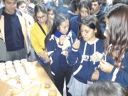 Las abejas y su producción, la miel, centro de una jornada en Villa Mercedes