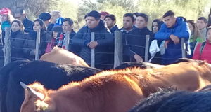 Los remates de Mondino para el mes de junio