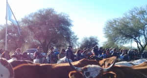 La Rioja: una jornada mostró tecnologías desarrolladas por INTA para ganadería en el árido y semiárido