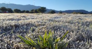 San Martín con -5° bajo cero: se registraron heladas en 18 localidades de San Luis