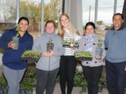 San Luis: familias de más de 12 localidades recibieron plantas aromáticas, árboles frutales y bandejas hortícolas