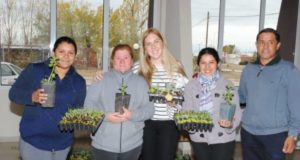 San Luis: familias de más de 12 localidades recibieron plantas aromáticas, árboles frutales y bandejas hortícolas