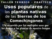 Villa de Merlo: dictarán un taller sobre usos populares de plantas nativas de las Sierras de los Comechingones
