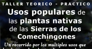 Villa de Merlo: dictarán un taller sobre usos populares de plantas nativas de las Sierras de los Comechingones
