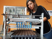 Huertas familiares: el gobierno San Luis sumó dos máquinas para la preparación de bandejas hortícolas