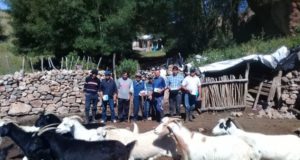 San Luis: el Ministerio de Producción tomó más de 1.250 muestras sanguíneas para el diagnóstico de brucelosis