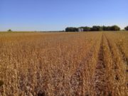 el mercado inmobiliario rural cayó el 21% en un año