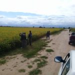 ensayo soja 18-19_7