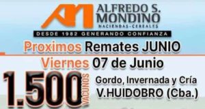 Mondino remata mañana en Villa Huidobro